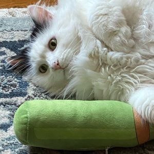 Meet your Posher, Lisa